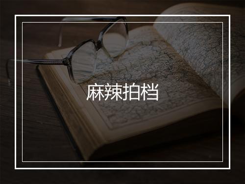 麻辣拍档