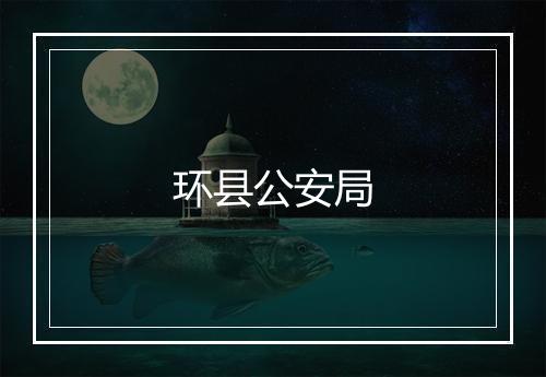 环县公安局