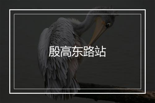 殷高东路站