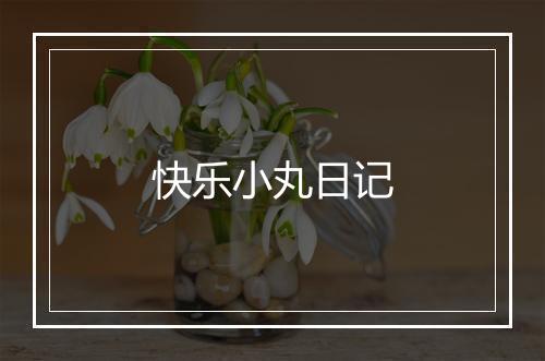 快乐小丸日记