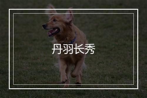 丹羽长秀