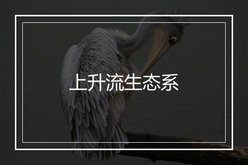 上升流生态系