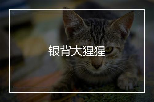 银背大猩猩