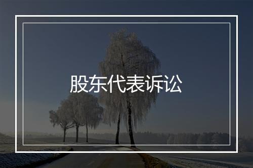 股东代表诉讼