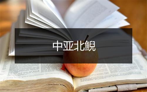 中亚北鲵