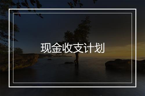 现金收支计划