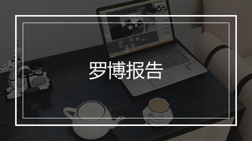 罗博报告