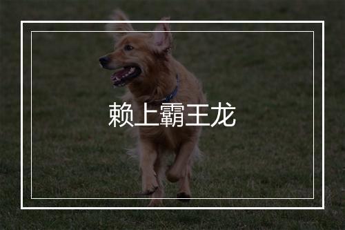 赖上霸王龙