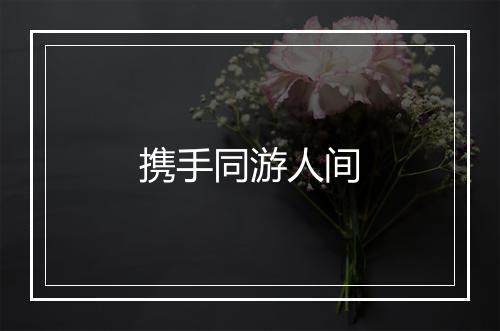 携手同游人间