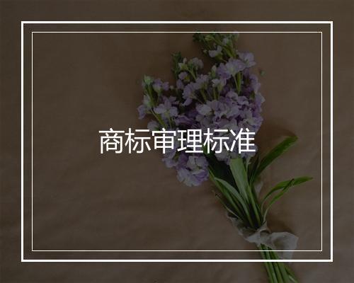 商标审理标准