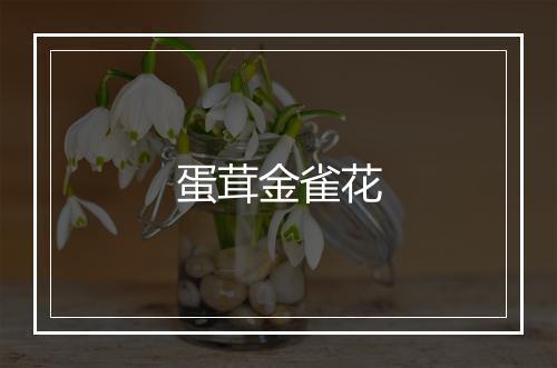 蛋茸金雀花