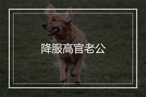 降服高官老公