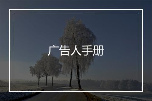 广告人手册