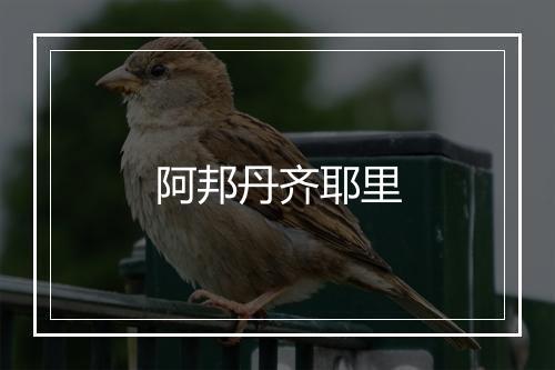 阿邦丹齐耶里