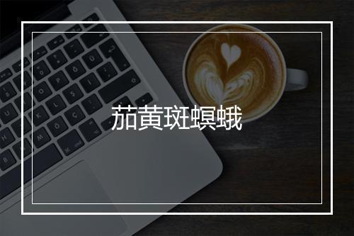 茄黄斑螟蛾