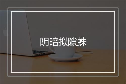 阴暗拟隙蛛