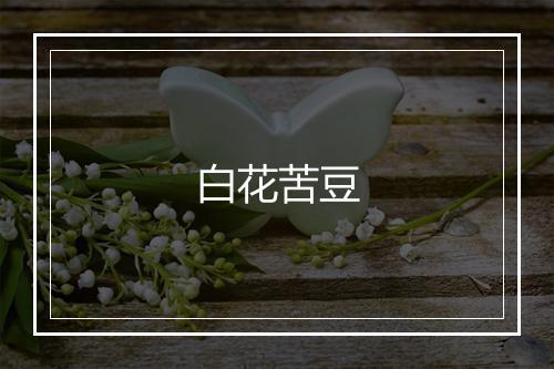 白花苦豆