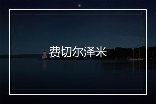 费切尔泽米