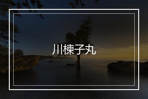 川楝子丸