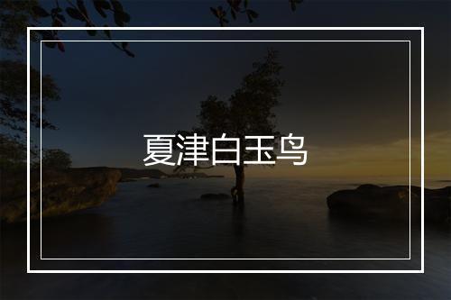 夏津白玉鸟