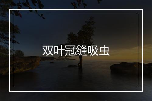 双叶冠缝吸虫