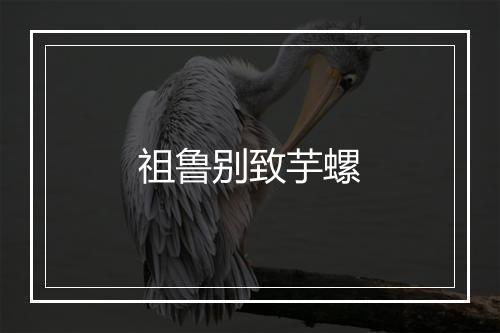 祖鲁别致芋螺