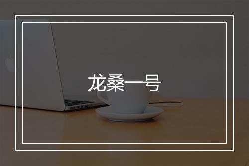 龙桑一号