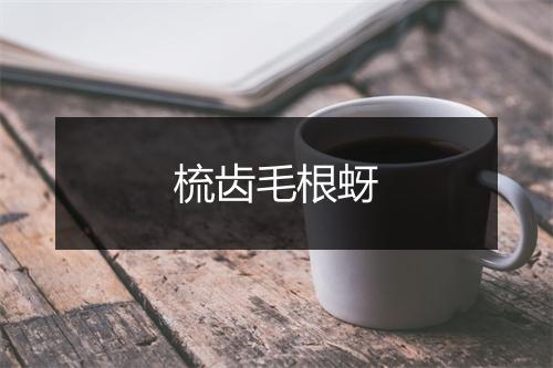 梳齿毛根蚜