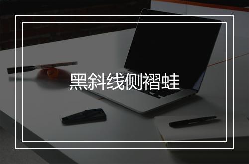 黑斜线侧褶蛙