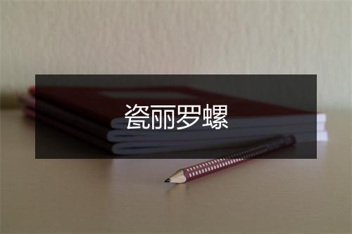 瓷丽罗螺