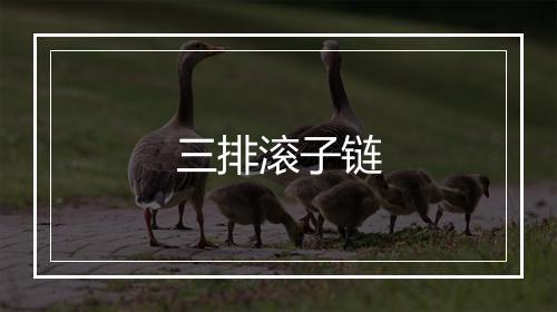 三排滚子链