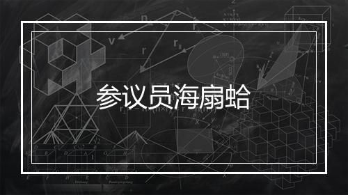 参议员海扇蛤