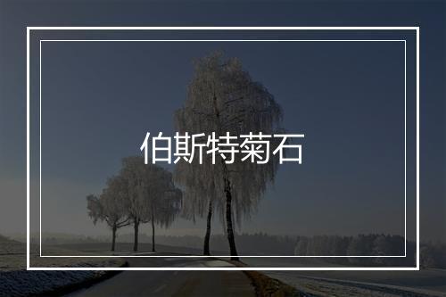 伯斯特菊石