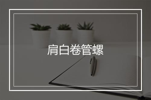 肩白卷管螺