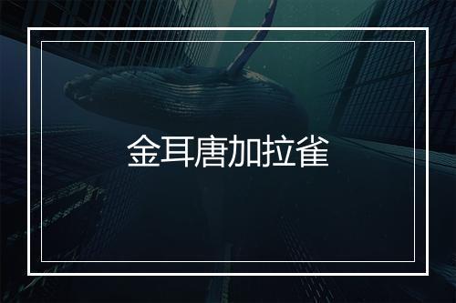 金耳唐加拉雀