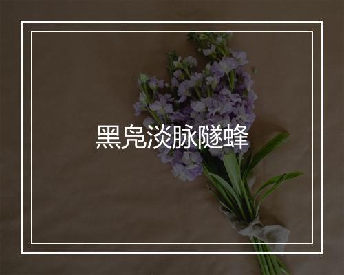 黑凫淡脉隧蜂