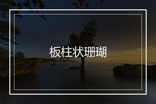 板柱状珊瑚