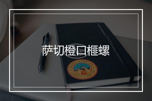 萨切橙口榧螺