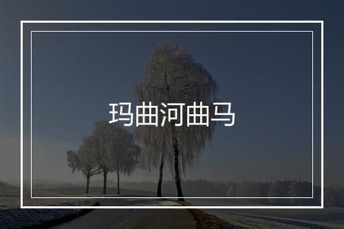 玛曲河曲马