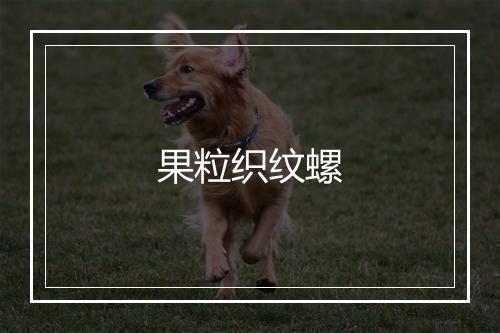 果粒织纹螺