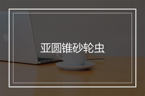 亚圆锥砂轮虫