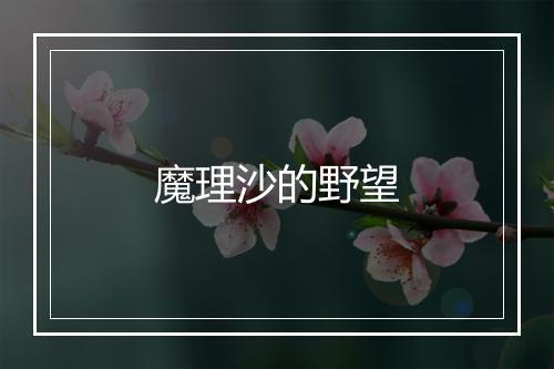 魔理沙的野望