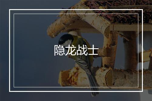 隐龙战士