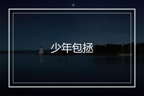 少年包拯