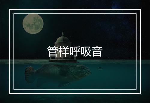 管样呼吸音